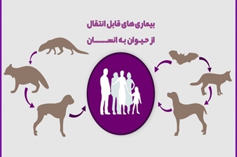 پیام های بهداشتی پیشگیری از بیماری های قابل انتقال بین انسان و حیوان برای عموم مردم